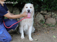 Papak - Nutze den Tag!