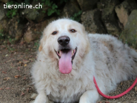 Papak - Nutze den Tag!