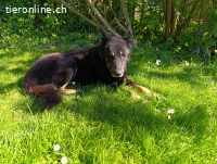 Papi Rufus, endlich befreit