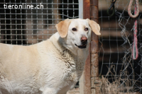 Patty - leise Schritte, große Hoffnung