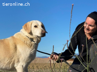 Patty - Vorsichtig auf den Pfoten, groß im Herzen