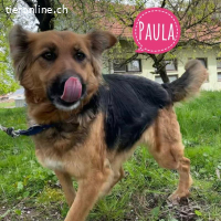 Paula der größte Schatz