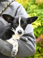 Paulina - was war, darf verblassen....