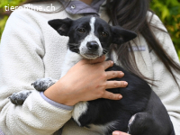 Paulina - was war, darf verblassen....