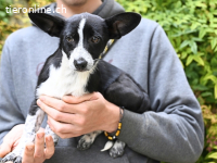 Paulina - was war, darf verblassen....