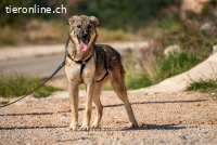 Pavarotti (2 Jahre)- Sucht neue Bühne