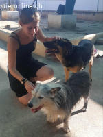 PEPO, m., Mischling, geb. 2010 oder 2012