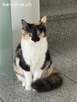 Peter und Nariz suchen gemeinsam ein Zuhause