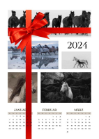 Pferdekalender 2024 (Wildpferde), A3-hoch Format