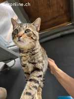 Pfiffiger, verschmuster Juri (1.5J) gebt ihm eine Chance!