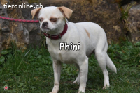 PHINI