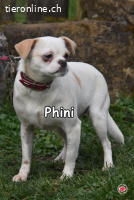 PHINI