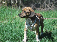 PIRI, liebes Mixmädel, ca.3 Mo.,24cm,4,3kg *PS 96450 Coburg*