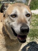 Plugh - Opa Plugh möchte die Welt - und Sie! kennenlernen