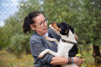 Pon - sucht sportliche Menschen!