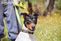 Pon - sucht sportliche Menschen!