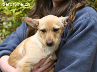 Prospero - was war, darf verblassen...