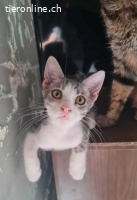 Pumpkin und Benny, diese Teenies haben Grosses vor.