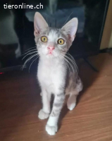 Pumpkin und Benny, diese Teenies haben Grosses vor.