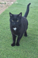 Punto – er hat Vertrauen gefasst – jetzt fehlt nur noch sein