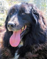 Quennel - Black velvet, oder...