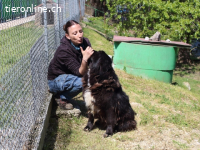 Quennel - Black velvet, oder...