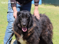 Quennel - Black velvet, oder...