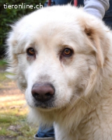 Quilmar - Was werden sie erzählen?