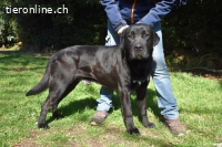 Quilver - Im Stillen reift, was Bestand haben will