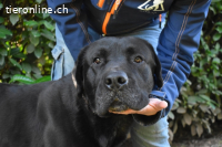 Quilver - Im Stillen reift, was Bestand haben will