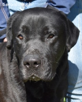 Quilver - Im Stillen reift, was Bestand haben will