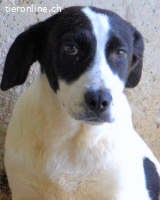 Raakel - Ein Anfang, der nie kam...