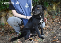 Rafeed - Möge der kleine Drache ihn beschützen