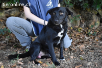 Rafeed - Möge der kleine Drache ihn beschützen