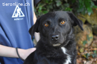 Rafeed - Möge der kleine Drache ihn beschützen