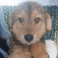 Raven - ein lebensfroher kleiner Junge