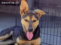 Rei - sehr sozial, offen und freundlich