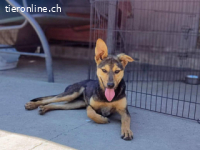 Rei - sehr sozial, offen und freundlich