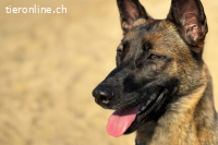 Reika (ca. 4 Jahre) möchte endlich ankommen