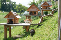 Reinigungs- /Tierpflege-Unterstützung Katzengnadenhof