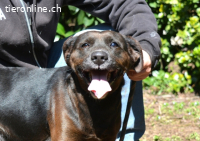 Rellyt - mit dem ganz besonderen Blick