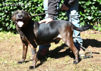 Rellyt - mit dem ganz besonderen Blick