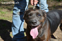 Rellyt - mit dem ganz besonderen Blick