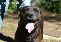 Rellyt - mit dem ganz besonderen Blick