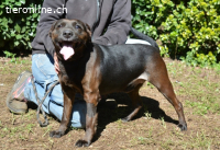 Rellyt - mit dem ganz besonderen Blick