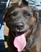 Rellyt - mit dem ganz besonderen Blick