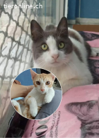 RENOS & MUFFIN - ZWEI GANZ SPEZIELLE FREUNDE SUCHEN ZUSAMMEN