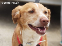 Rodri -ein ganz besonderer Schatz