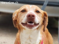 Rodri -ein ganz besonderer Schatz