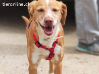 Rodri -ein ganz besonderer Schatz